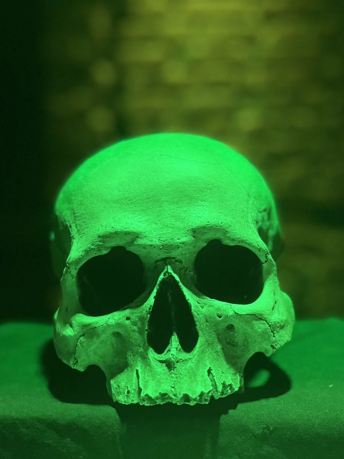 Skull in spooky green light